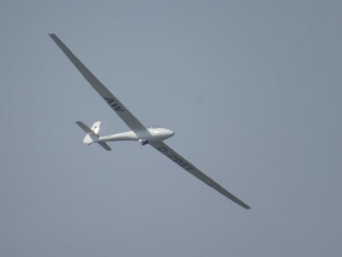 Glider-D-2951-02