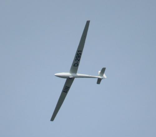 Glider-D-2951-04