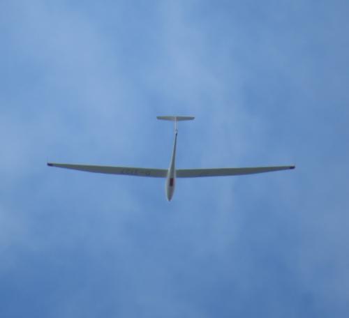 Glider-D-3127-02