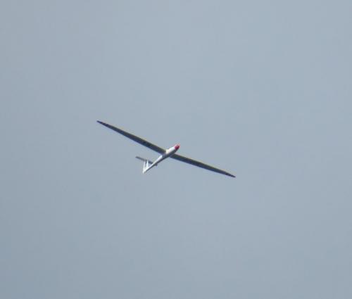 Glider-D-3179-01