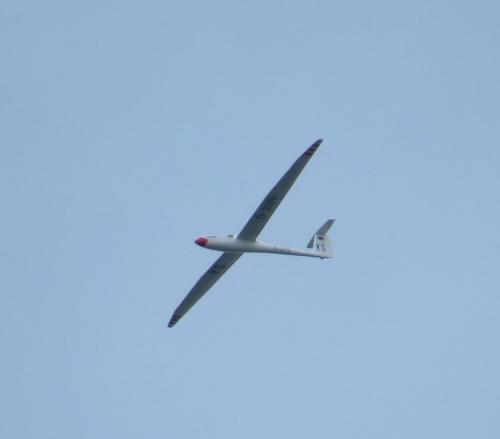 Glider-D-3179-02