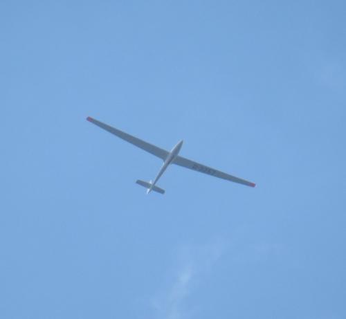 Glider-D-3257-01