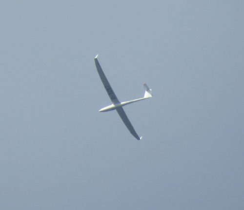 Glider-D-3267-01