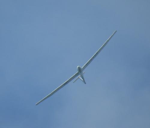 Glider-D-3330-01