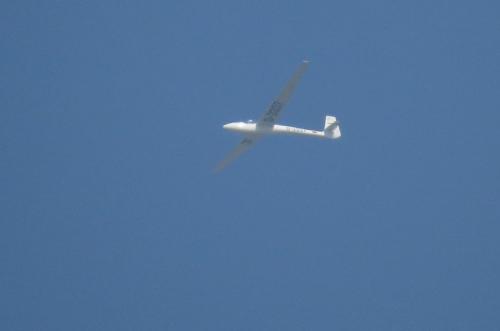 Glider-D-3337-01