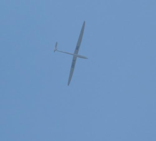 Glider-D-3362-01