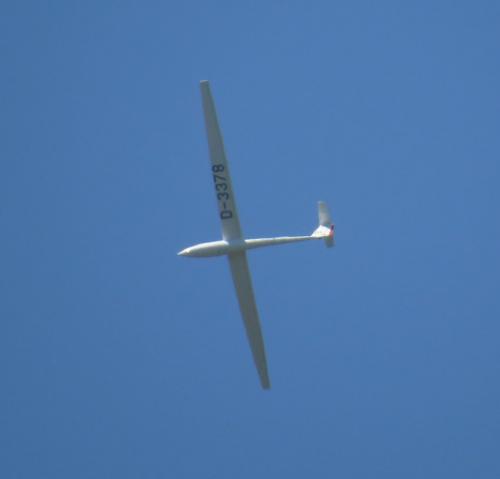 Glider-D-3378-01