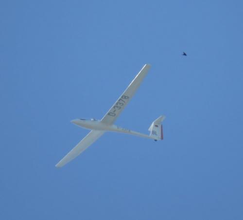Glider-D-3378-02