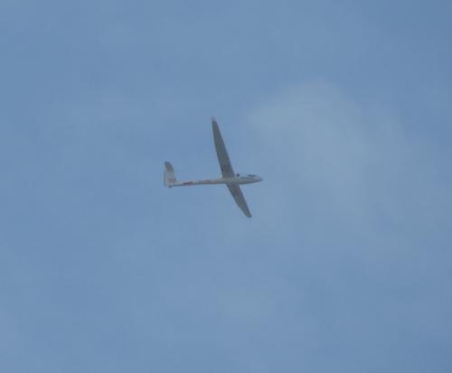 Glider-D-3394-01