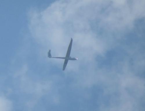 Glider-D-3397-01