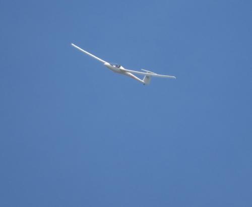 Glider-D-3403-01