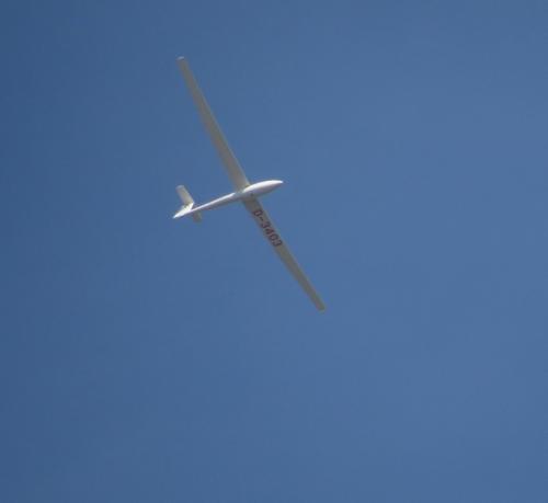 Glider-D-3403-02