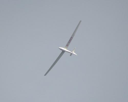 Glider-D-3403-03