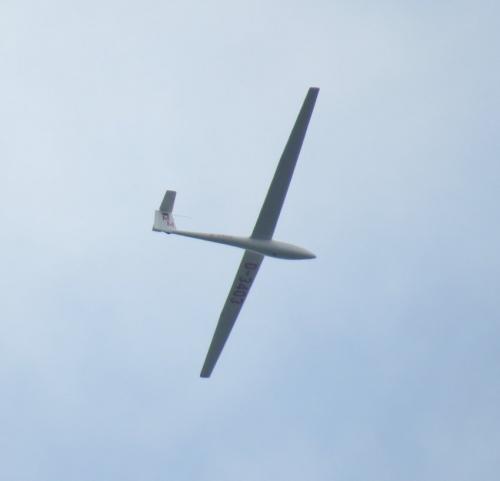 Glider-D-3403-04