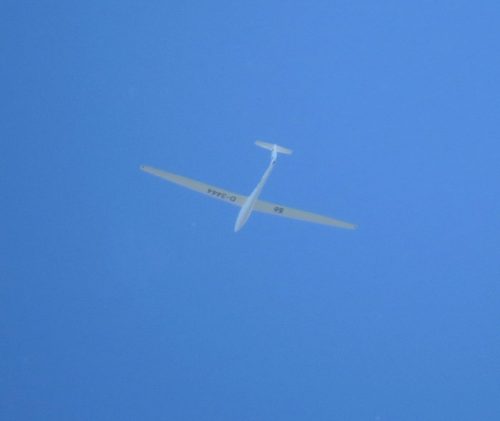 Glider-D-3444-01