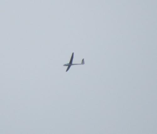 Glider-D-3446-01