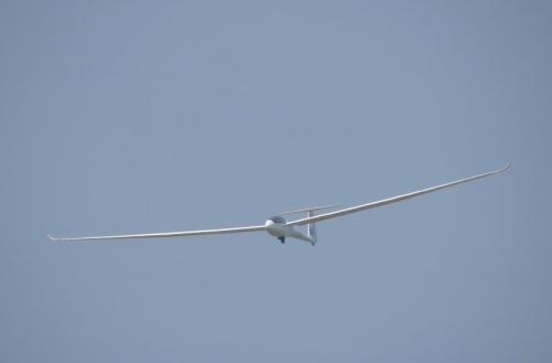 Glider-D-3483-02