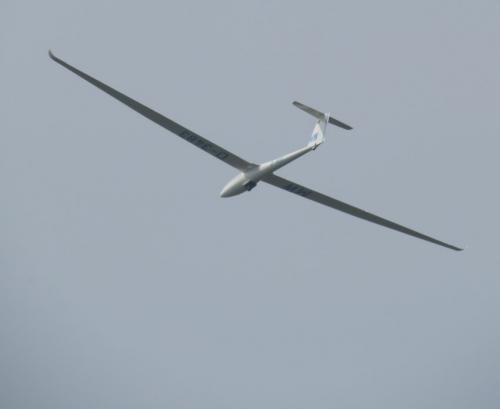 Glider-D-3483-04