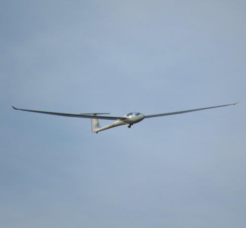 Glider-D-3483-05