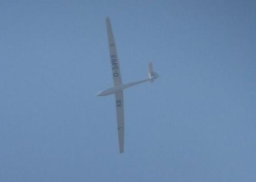 Glider-D-3493-01