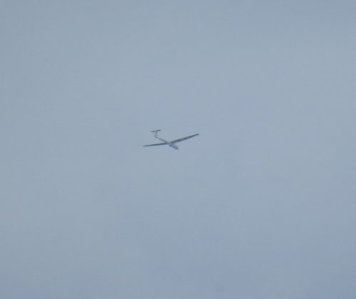 Glider-D-3498-01