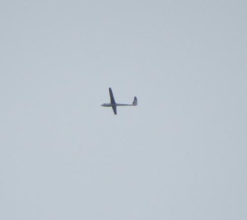 Glider-D-3515-01