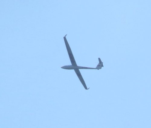 Glider-D-3559-01