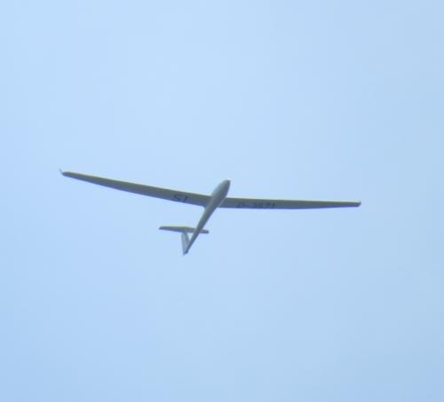 Glider-D-3571-01