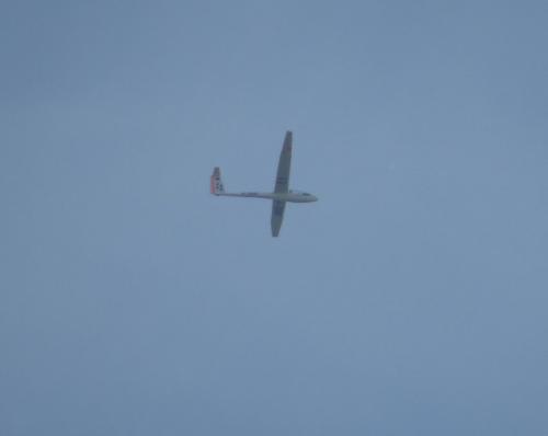 Glider-D-3581-01