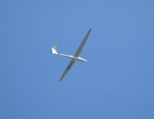 Glider-D-3608-01