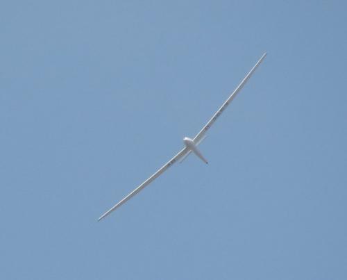 Glider-D-3653-01