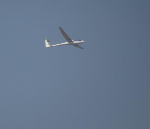 Glider-D-3653-02