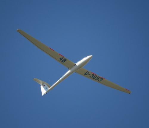 Glider-D-3653-03