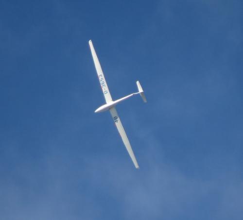 Glider-D-3653-04