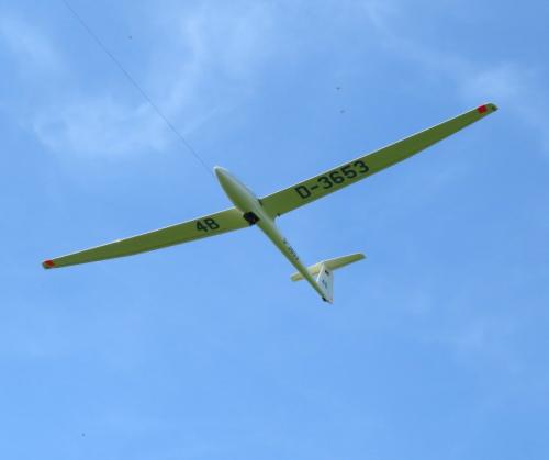 Glider-D-3653-08