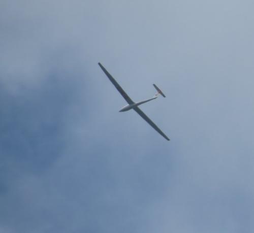 Glider-D-3672-01
