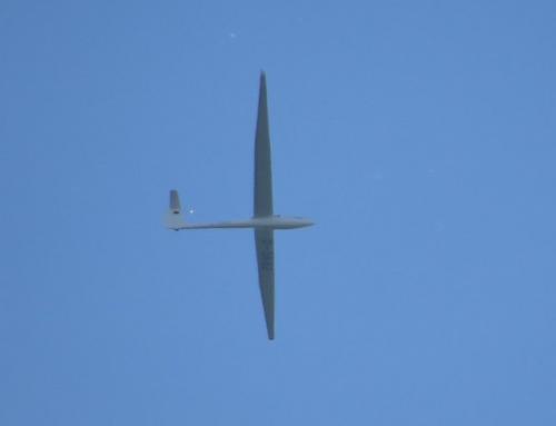 Glider-D-3682-01
