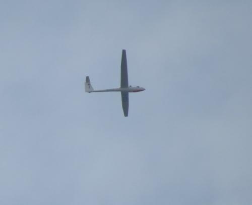 Glider-D-3723-01