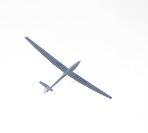 Glider-D-3738-01