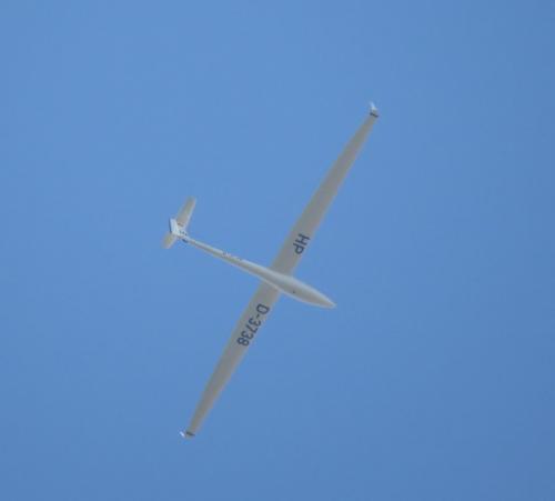 Glider-D-3738-02