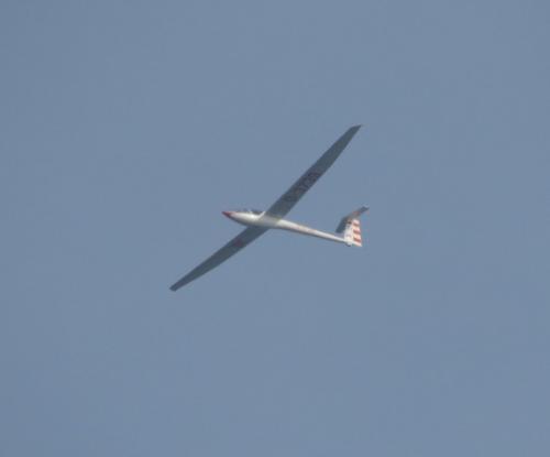 Glider-D-3739-01