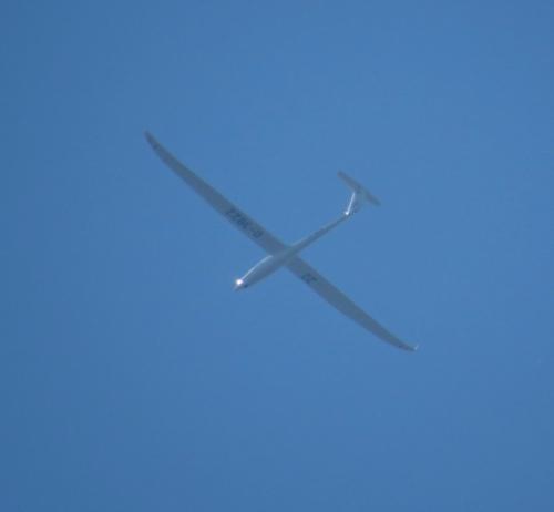 Glider-D-3822-02