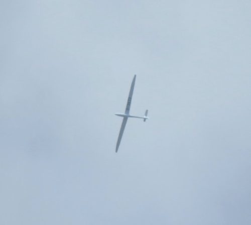 Glider-D-3833-01