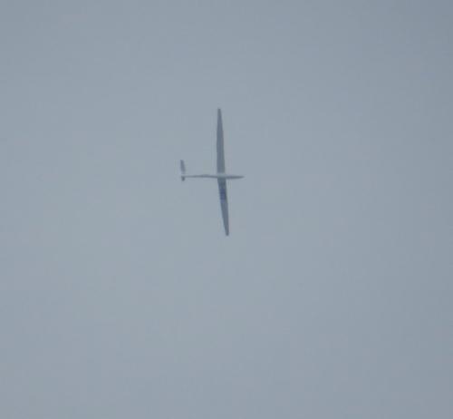 Glider-D-3872-01