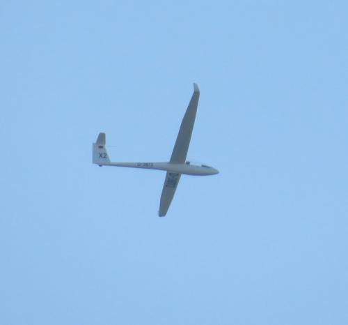 Glider-D-3872-02