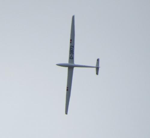 Glider-D-3872-03