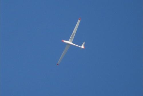 Glider-D-3935-01
