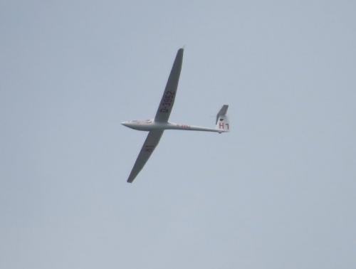 Glider-D-3952-01