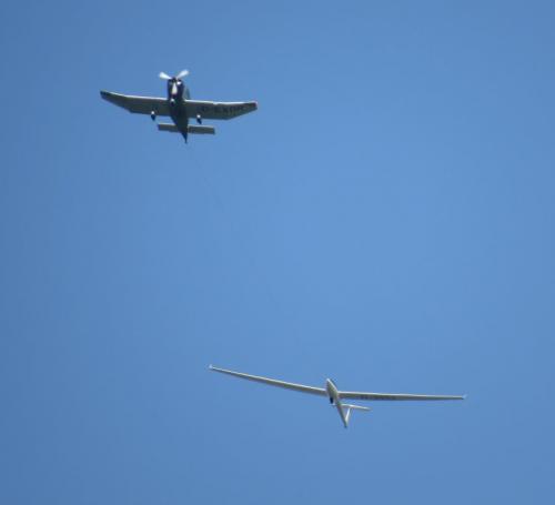 Glider-D-3952-06