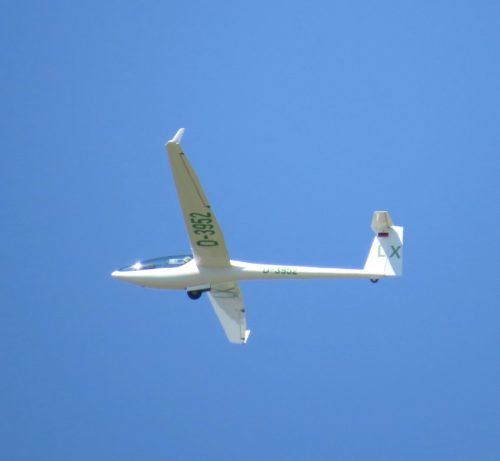 Glider-D-3952-LX 03